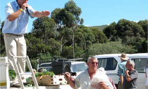 B’Bossers se gewilde Basaar